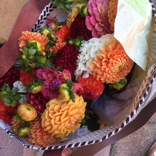 Herbstblumen