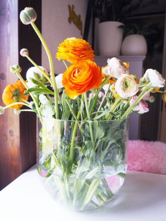 Wie halten Schnittblumen länger