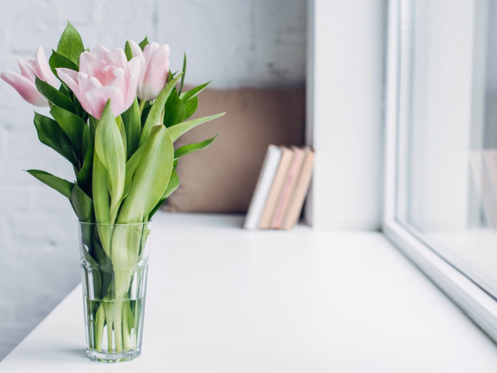 giftige Frühlingsblumen